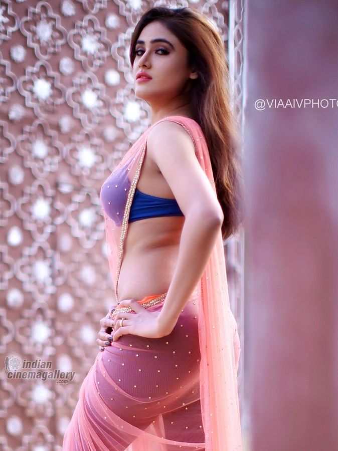 sexy saree Sony Charishta bra without blouse