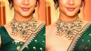 Lavanya Tripathi hot saree nude boobs nipple wihtout blouse